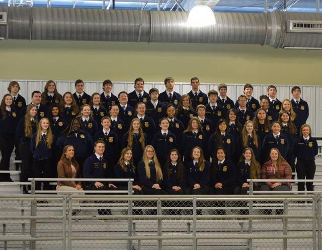 FFA+Livestock+Show+2016