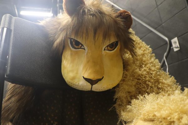 A Lion costume for the play: The Lion, The Witch, and the Wardrobe. 